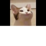 [찐고양이 부대]