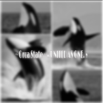 Orca State