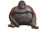M0NKE CULT
