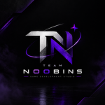 Team Noobins