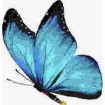 Butterfly’s squad! ŪvŪ