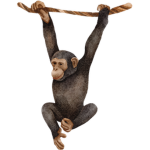global monke cult
