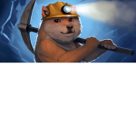 The Doge Coin Finders
