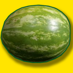 THE EPIC MELON FAN GROUP