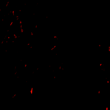 Seek texture. Roblox decal