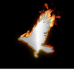 Burning Crow