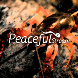 Peaceful Stream