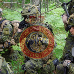 -| CLI | Canadian Light Infantry |-