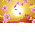 sunny_blossoms
