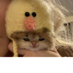 The Duckyz