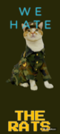 Cat United staff