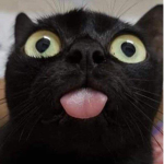Hello, gamers