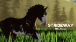 Stridaway academy group