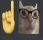 mrsilverwhisker
