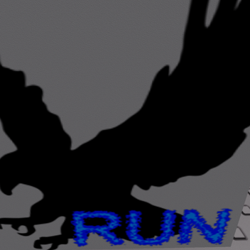RUN