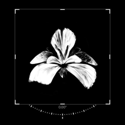 🖤ৎ