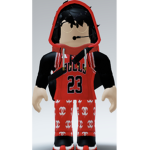 Roblox fans ! :D