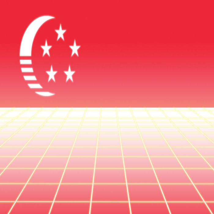 Vaporwave Singapore Roblox decal