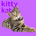 CatsTrust