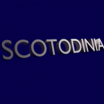 Scotodinia