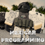 Mexican Programming Industry