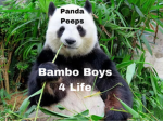The bamboo gang