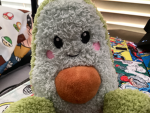 Avocado group2345