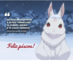 Carinha Legal shop 1.0