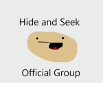 Pam's Hide and Seek Group