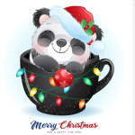Adorable Panda’s