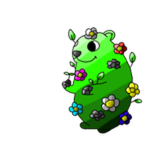 Nature Chomik