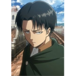 Levi fandom group