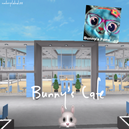Bunnys fans's Place Number: 13