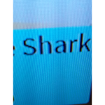 Cool shark games