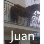 Fans de awitadecoco