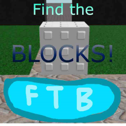 Find the Blocks