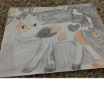 MoonClan (warriors RP)