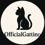 I Gattini di Gattino