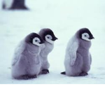 For my sister ONLYYYYYYYYYYYYY