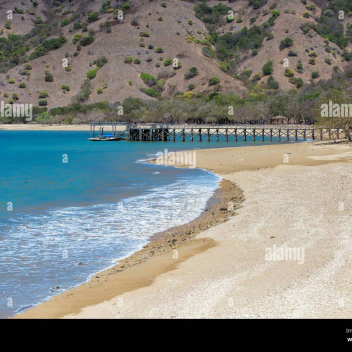 100 days on a roblox island