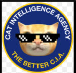 Cats intelligence special operations- CISO
