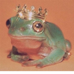 Queen and king frogs