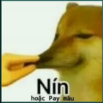Bao:#)))