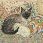 catsoup