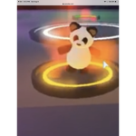 The Kawaii Panda’s