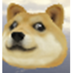 THE DOGE TEAM!!!!!!!!!!!!!!!