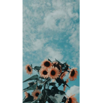 =Floral =