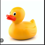 Meet other ducks