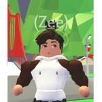 Groups of ZEE
