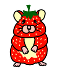 -HAMSTER GROUP-